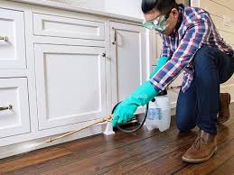 Real Estate Pest Inspections in Grand Point, LA